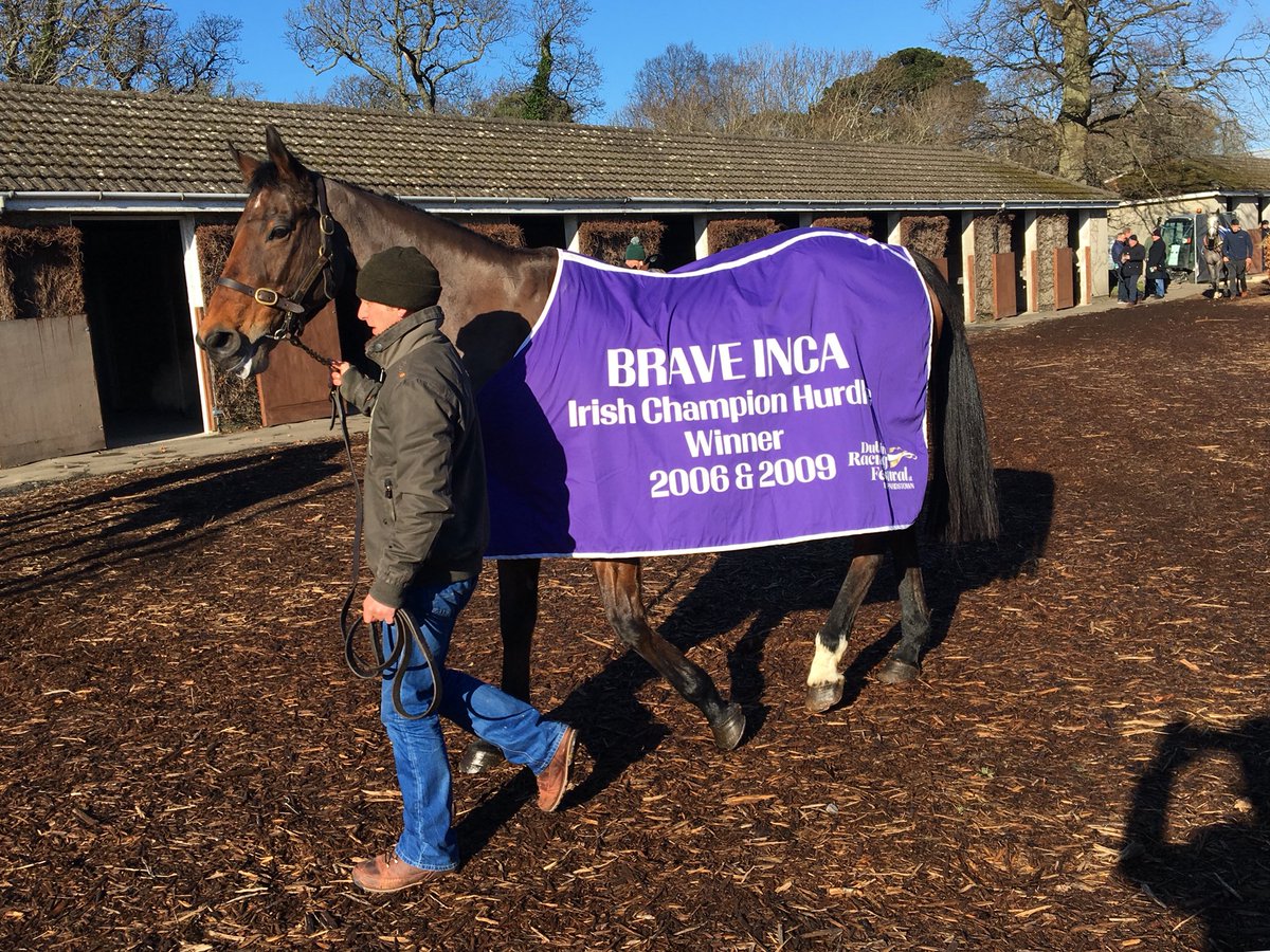 RacingPost's tweet photo. Thereβs a sight that would warm the soul on a bitterly cold day. The former champions whoβve lit up @LeopardstownRC down through the years. #HurricaneFly #HardyEustace #BraveInca https://t.co/QwF7g1LMRr