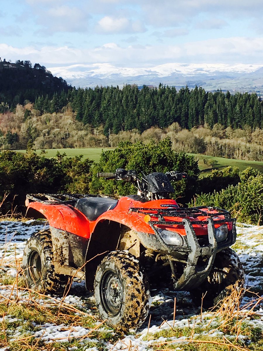 BorderQuad's tweet image. Great morning quad trekking with views of #snowdonia #quadbikingwales