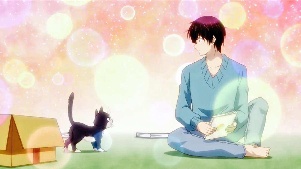 이번 분기 방영하고 있는 켄쇼 주인공인 고양이 키우는ㄴ애니 봤는데 완죤 힐링되고 귀엽고 잼나쟈나☺️🐱💕 같은 이야기가 한 번은 남주,...