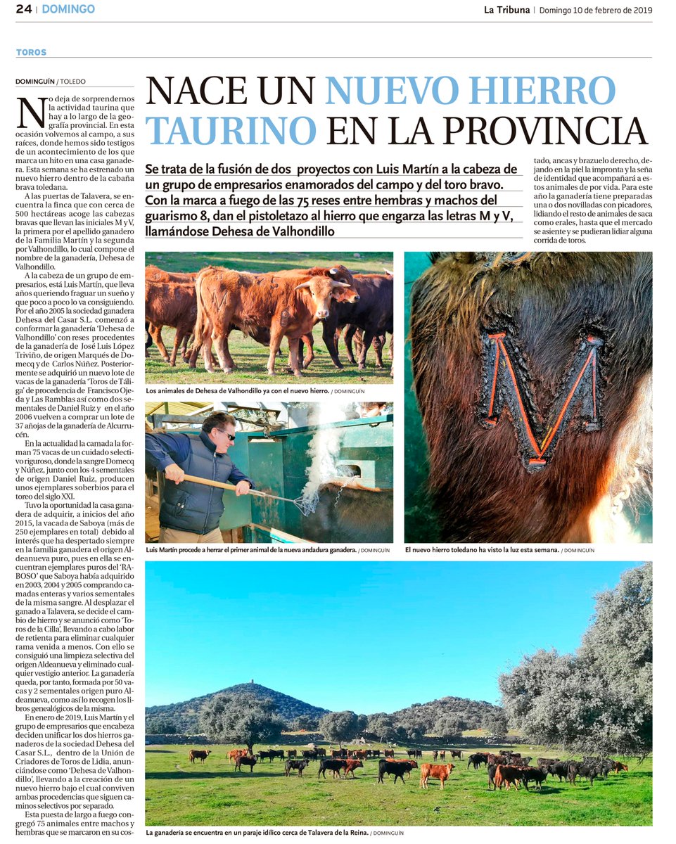 Esta semana se ha marcado la camada de <a href="/Valhondillo/">Dehesa Valhondillo</a> del guarismo 8 con su nuevo hierro, uniendo en el mismo los dos existentes en la casa ganadera. Desearles suerte y éxitos con la M y V engarzadas. Se puede leer en <a href="/tribunadetoledo/">La Tribuna de Toledo</a> de este domingo