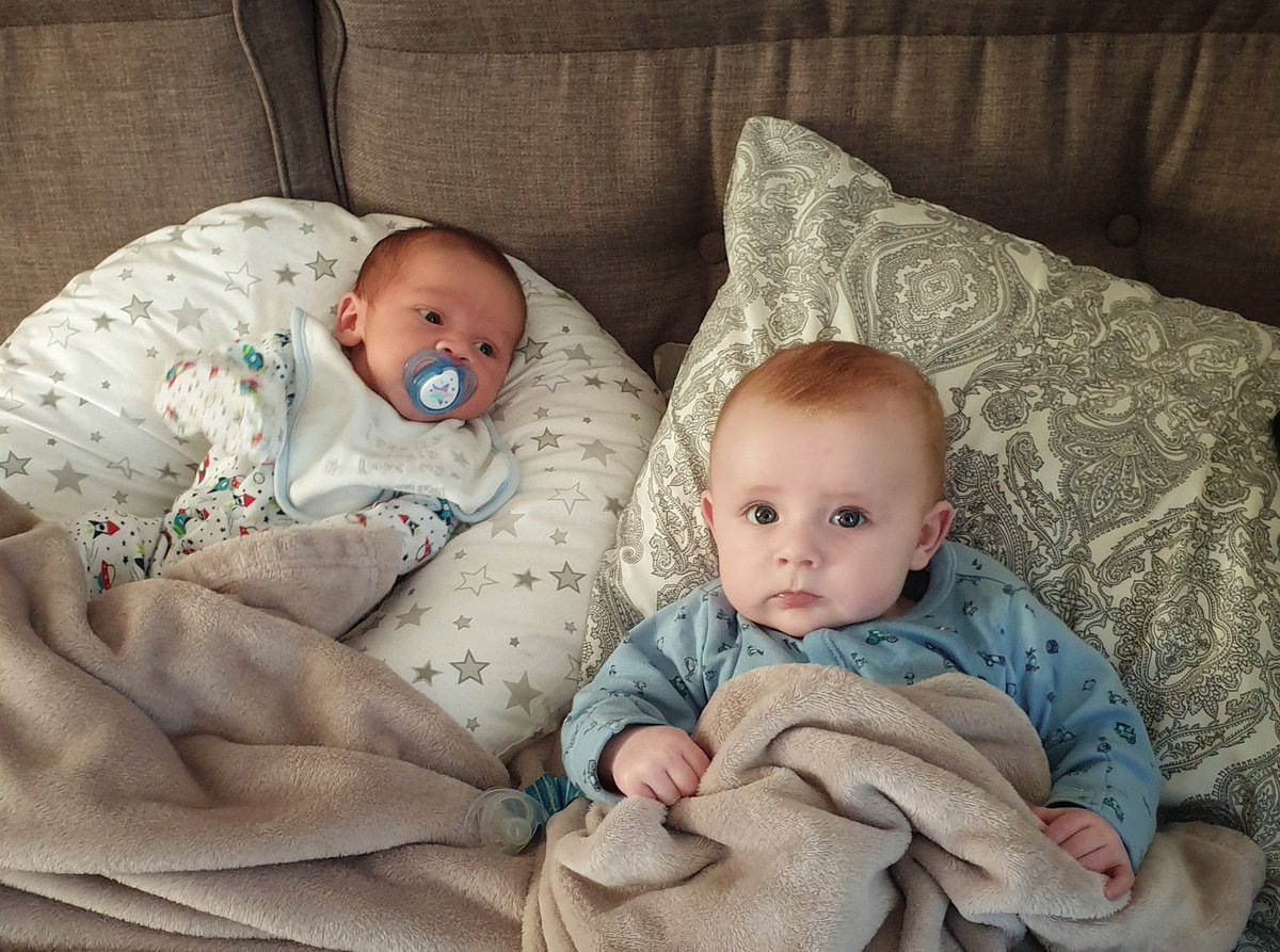 Harrison and Thomas, the grandsons chilling