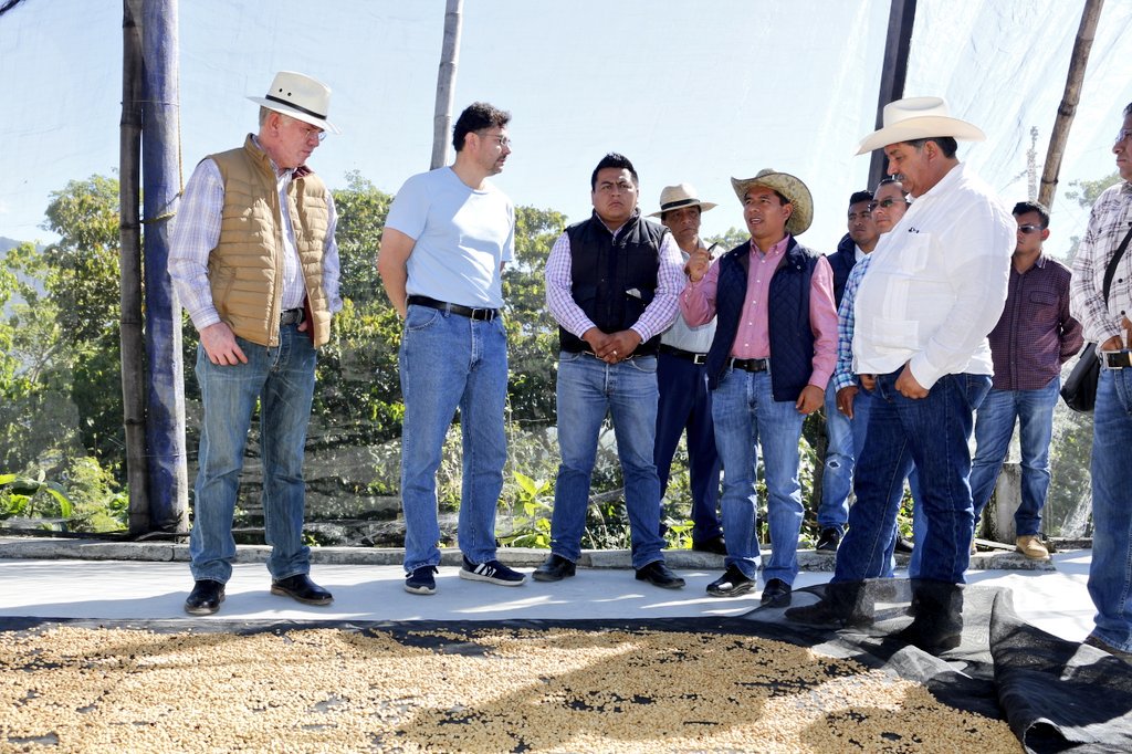 DanielGOaxaca's tweet photo. Con el Dip. Fed. Eraclio Rodríguez, el Ing. José Pablo Cortés, de la Coord Gral de Delegaciónes de la @SADER_MEX y la Pdta de #Pochutla @pineda_saymi, recorrimos la @fincachelin, ubicada en el Mpio de Candelaria #Loxicha, vamos a impulsar la producción de cafés de especialidad. https://t.co/GkFVJ5U8wV