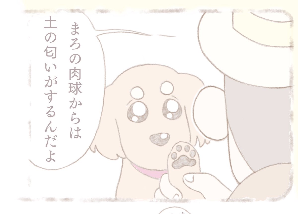 『まろの夢』
今回はまろのお話しです☺️??
#漫画好きさんと繋がりたい #イラスト塾 #イラスト王国 #お絵かき部 #絵描きの輪 #絵描きさんと繋がりたい #オリジナル漫画 #漫画 #マンガ #マンモス先生 #絵本 #絵を描く人々 創拡