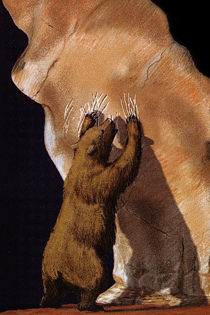 Vandreruglen's tweet photo. #Furries are the continuation of the ancient #European bear- and wolf-cults. #AltFurry #NaziFur. https://t.co/9IrYanSbMe