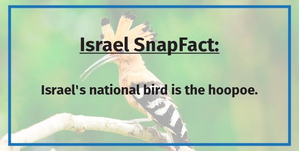 JCCBridgewater's tweet photo. A bird in the hand is worth two in the bush is a common saying. The National Bird of Israel is uncommonly awesome with it's mohawk. #SnapFact https://t.co/ssyUHgZZTI