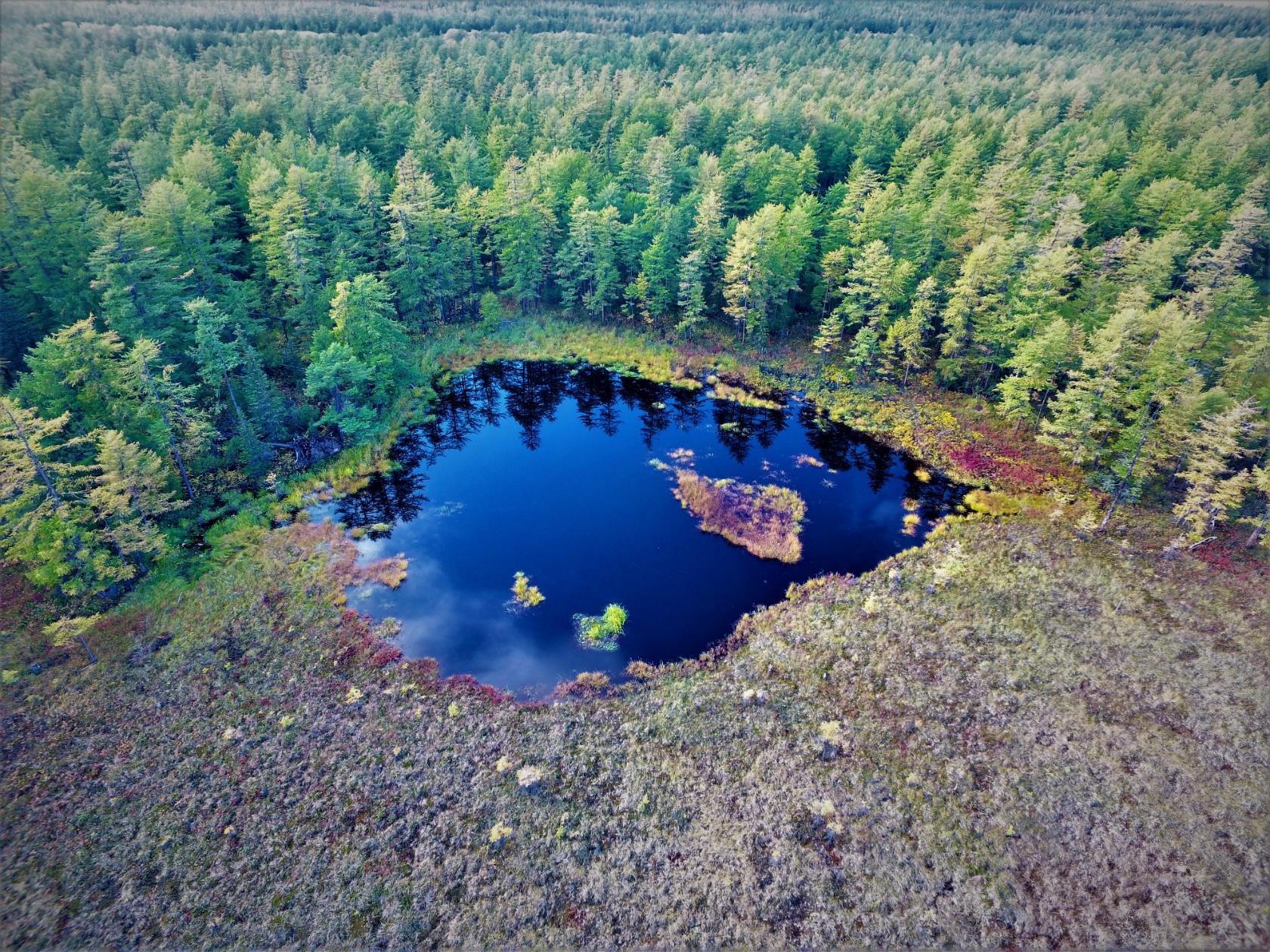 Озеро глубокое Кингисеппский район