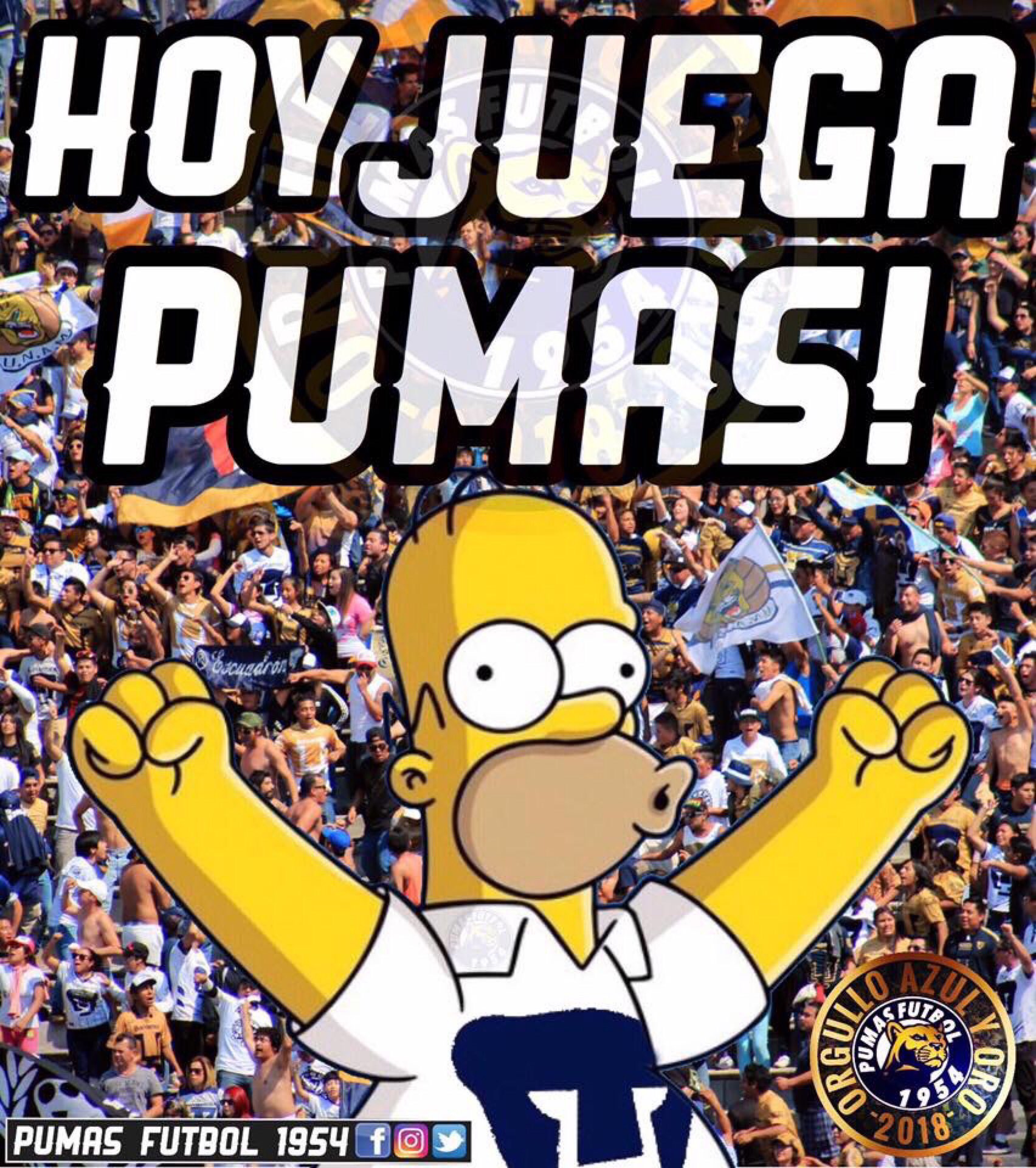 Top 129+ imagen cuando juega pumas br.thptnvk.edu.vn