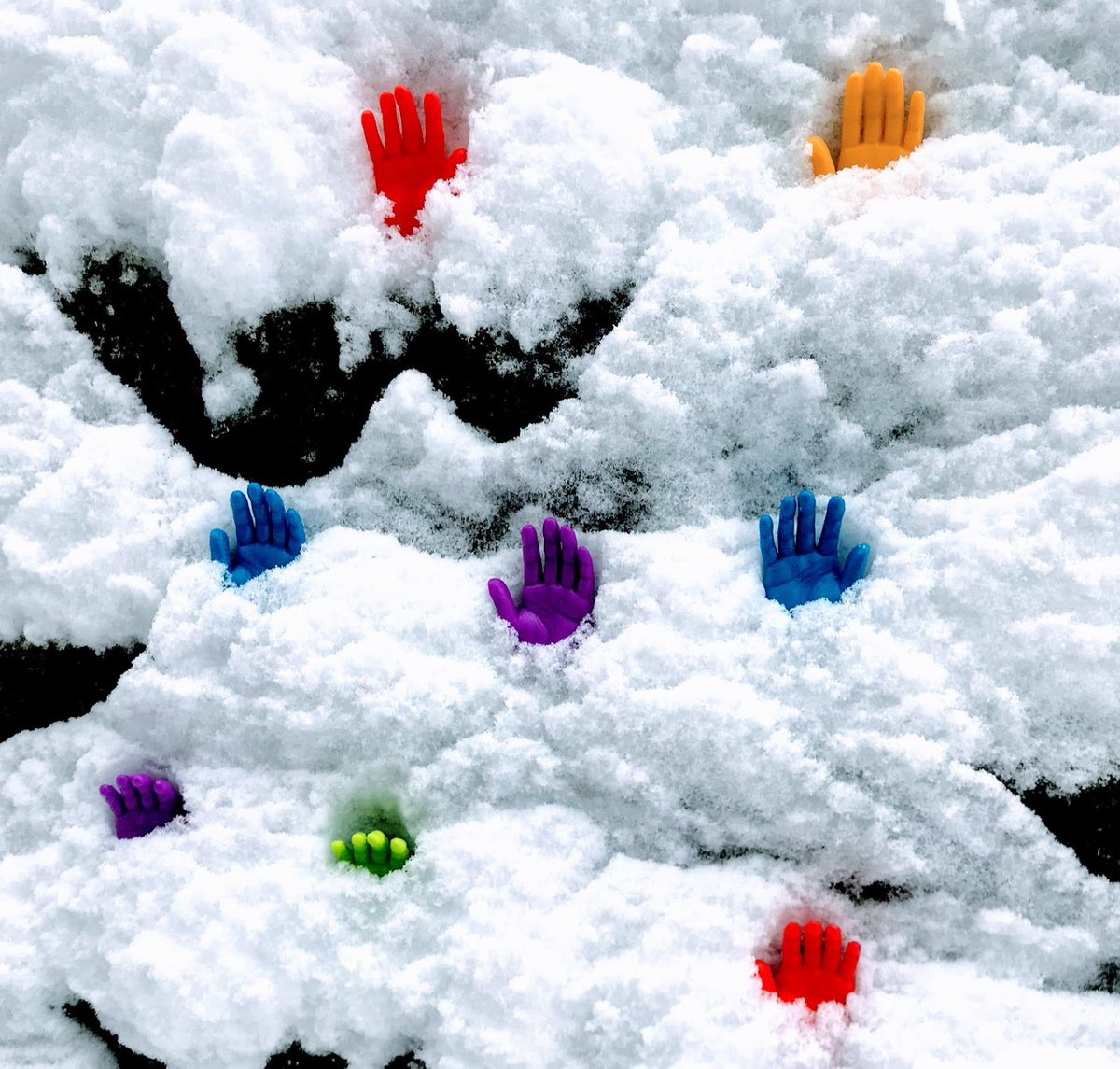 ArchieMcPhee's tweet photo. Sorry we had to close today, but our Finger Hand garden snowed over and we have to tend to our crops. #seattlesnowpocalypse2019 #seattlesnowstorm #SeattleSnowpocalypse #fingerhands https://t.co/JW75KrOMQG