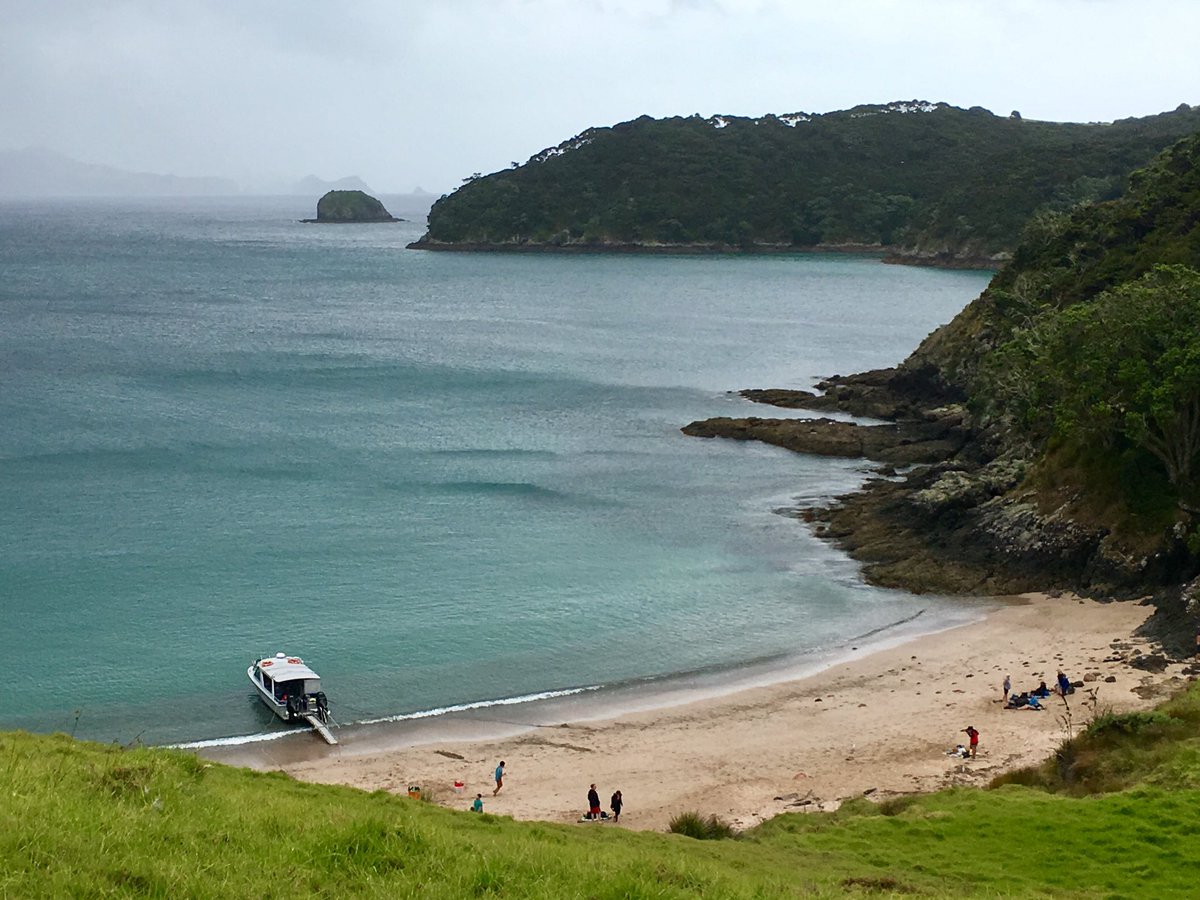Akeake Bay, Bay of Islands, NZ. Beautiful, even on a dull, damp day. #bayofislands #northland #newzealand