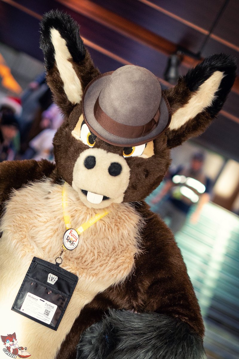 Look at this good looking guy! 
Suiter: Yet unknown. Feel free to tag!
Con: MFF2017