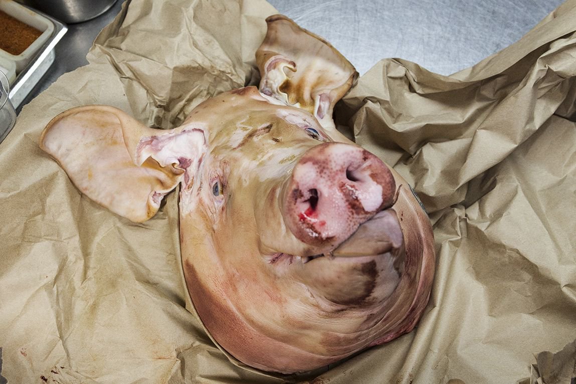chefsinsight's tweet photo. "I look at a lot of my techniques as old world techniques. I’m sure they weren’t using cold rolled steel and stuff like that, but it all goes back to what happens when you bury a pig in the ground." - @ChefBenFord, @FordsFillingStation
.
#ChefsInsight #ChefBenFord #cheflife https://t.co/obLayIxy01