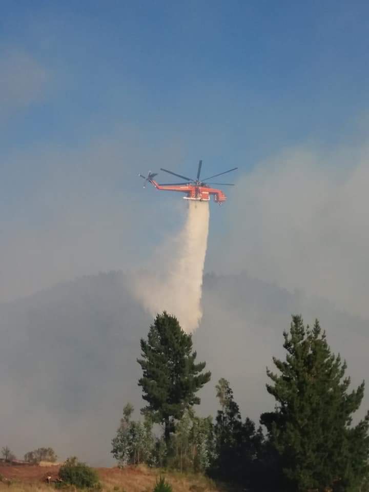 RanquilNipas's tweet photo. San Ramon alto, incendio forestal con peligro de propagacion a las viviendas del sector, al momento el Incendio se encuetra contenido y circuncrito, se continua en trabajos de Liquidacion. https://t.co/4Swxb2KysO