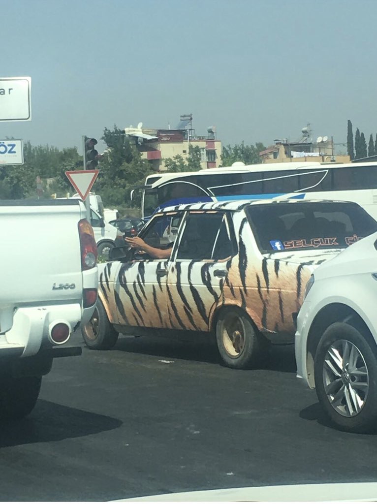 Seversin 🐆 #saturdaynightfever