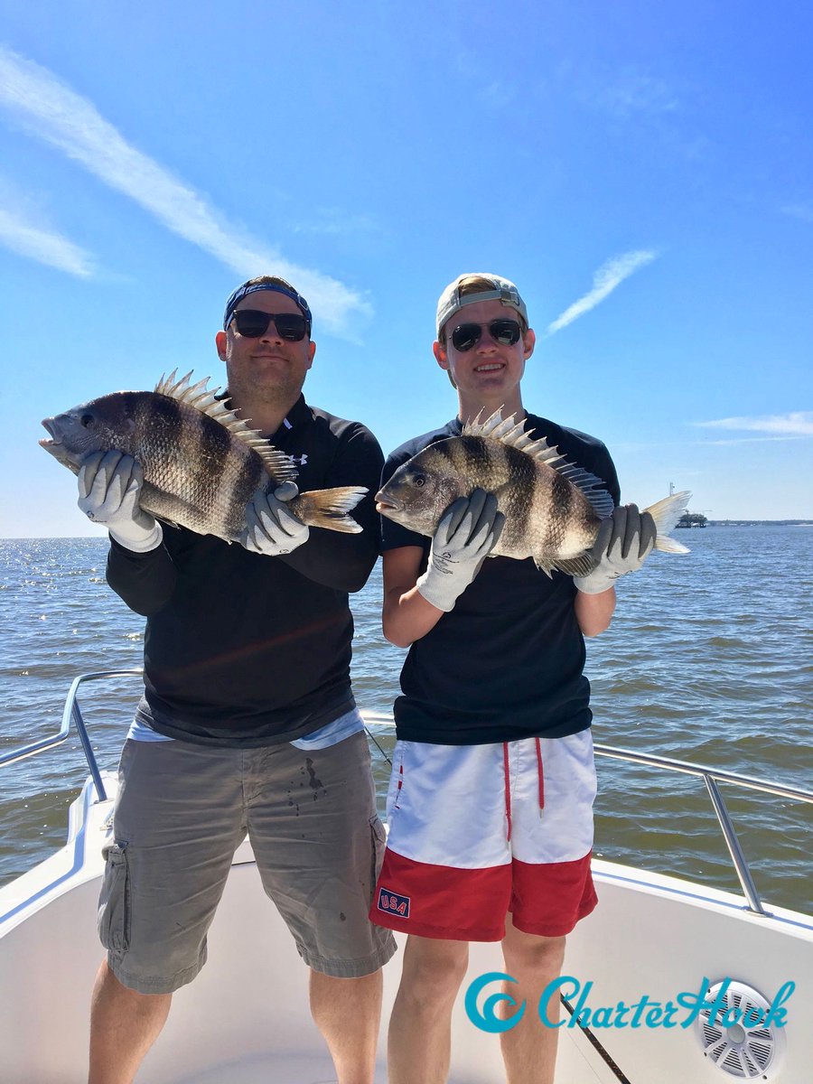 CharterHook's tweet image. Fairhope, AL - Sheepshead bite is heating up!!
Report with Captain Robb Hall
🎣 bit.ly/hall02082019
BOOK ONLINE 
👉 charterhook.com

#charterhook #fairhope #orangebeach #mobilebay #alabama #tidalist #sheepshead #charterfishing #poweredbycaptains