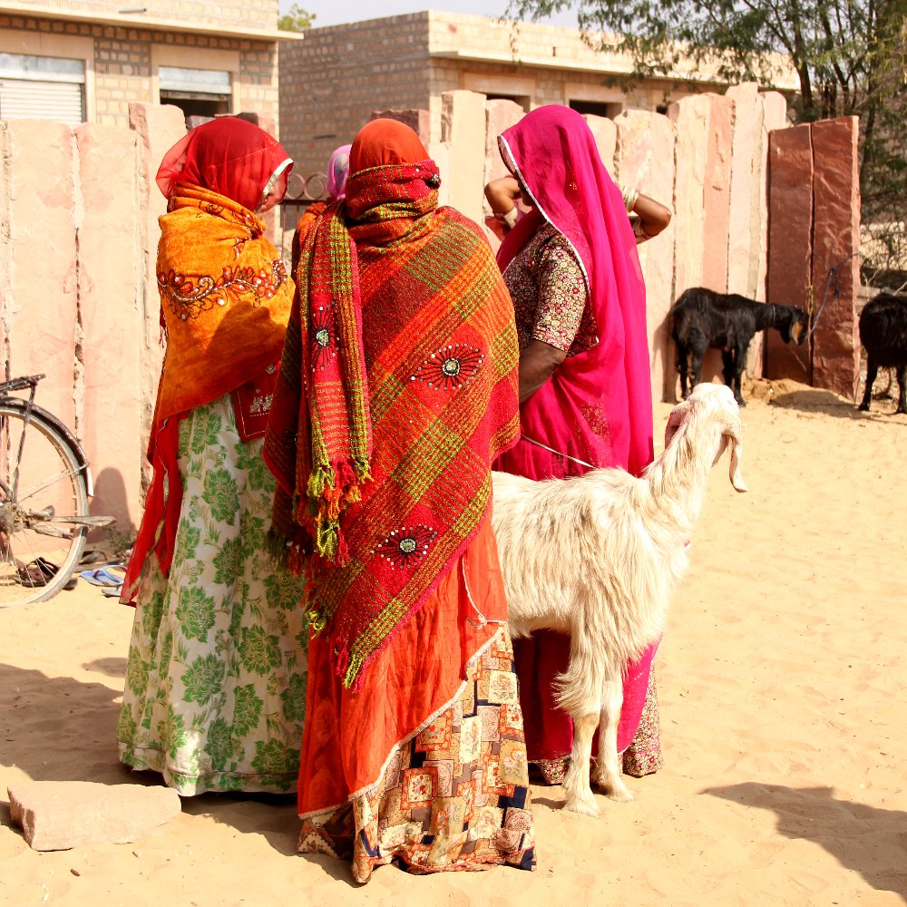 Colognelia's tweet photo. Women and goats #Setrawa #Thar #Rajasthan https://t.co/cGVXk0PUGi