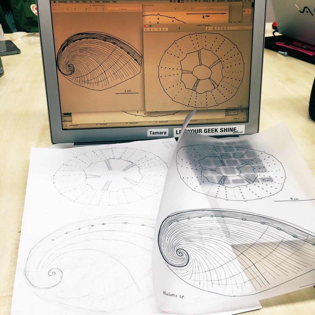 RhizomeAsso's tweet photo. Rhizome members spent this Saturday afternoon learning scientific illustration with @mnncrd 🎨 🌱 🐢🐚 ✍️
Next time it’s your turn to explore life in details, in our #rhifound or #sciencesurvivalkit programs! #sciart #scientificillustration https://t.co/eg70BJPNMF