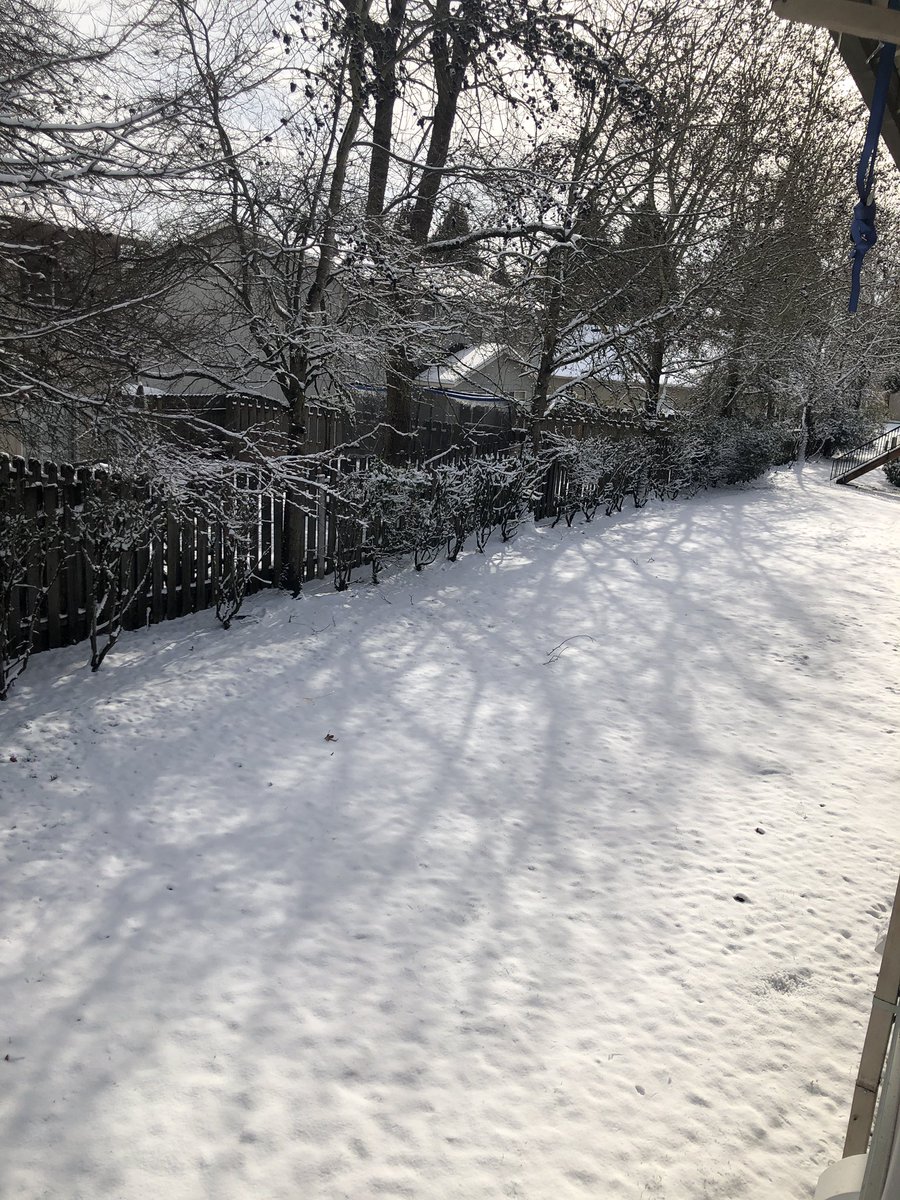 Chrissy Chambers ✨🏳️🌈 tweet media