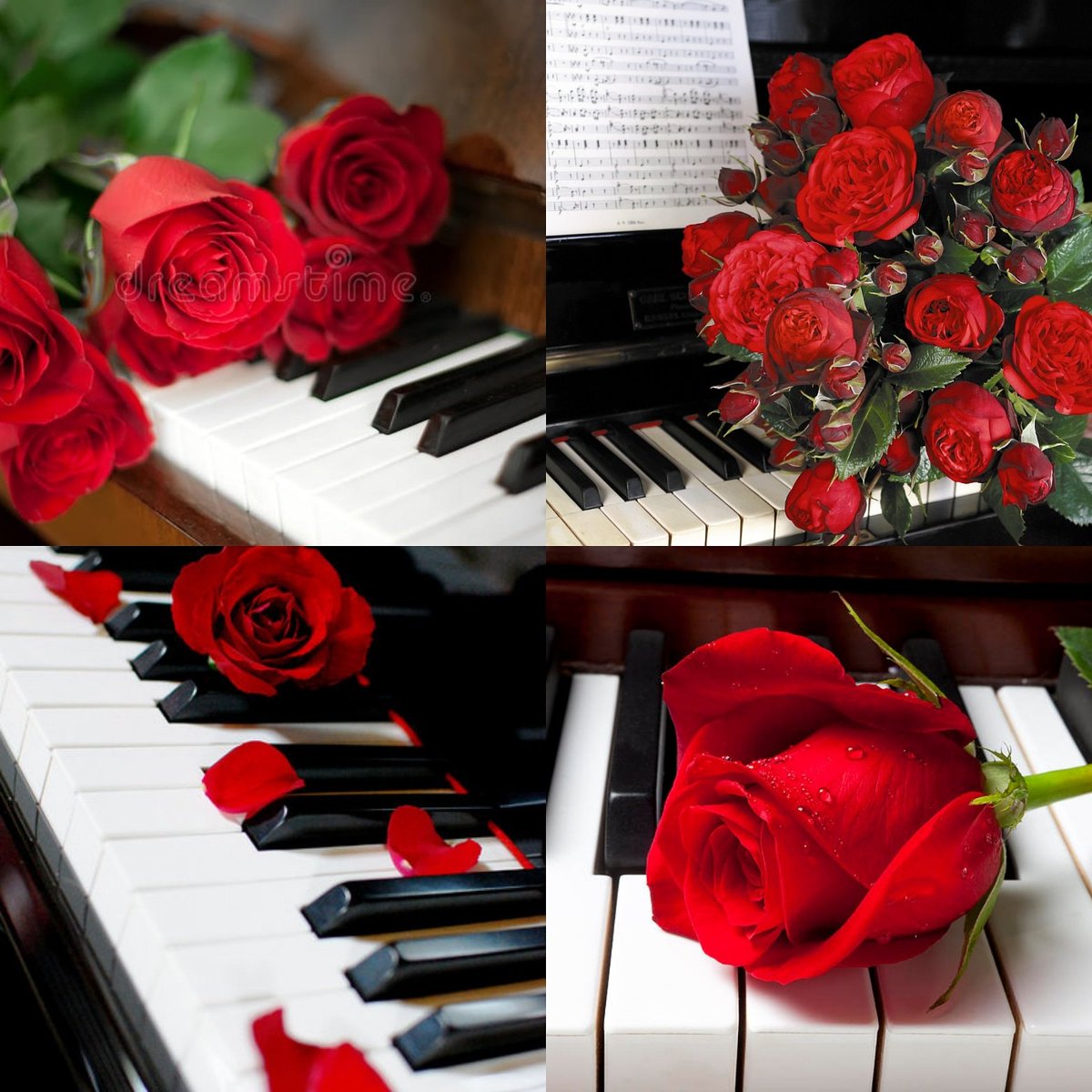 #VALENTINESDAYISCOMING 💖❤💘💙💚💛🧡💜
BOOK BY VALENTINE'S DAY and our gift to you, take 1/3 off on your next tuning! Regularly $180 now just $120. Save $60 and spend it on roses!