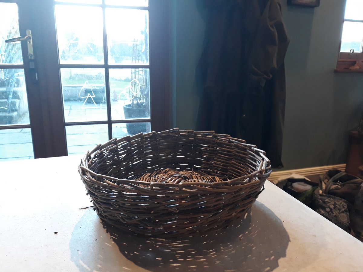 Here's my work for today. Willow basket making at Potarch. I'm real pleased with it as a first effort. <a href="/JillAnneWill/">Jill Will</a>