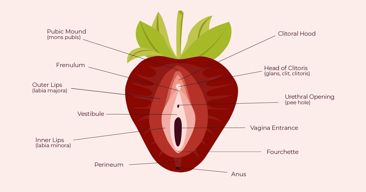 Web Client. #vagina. alexbporter.com/the-cunnilinguist. #sex. 
