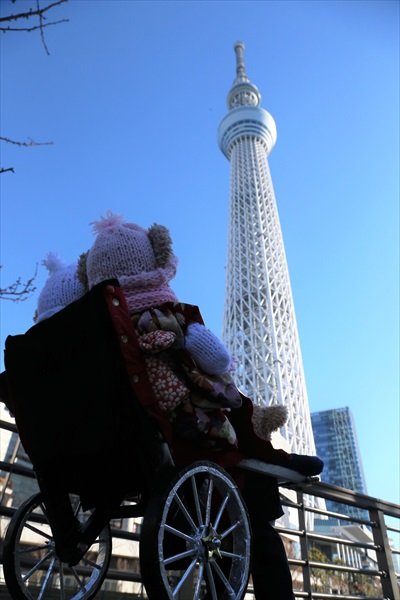 舞浜ゆめの 浅草雷門から スカイツリー経由でのミラコスタまでの人力車の旅 お楽しみ頂けましたか 早朝の寒い中 雷門からミラコスタまでの撮影はまんぼぅチームとキッズチームで行いました 園長先生ありがとうございました 浅草寺 雷門 スカイツリー