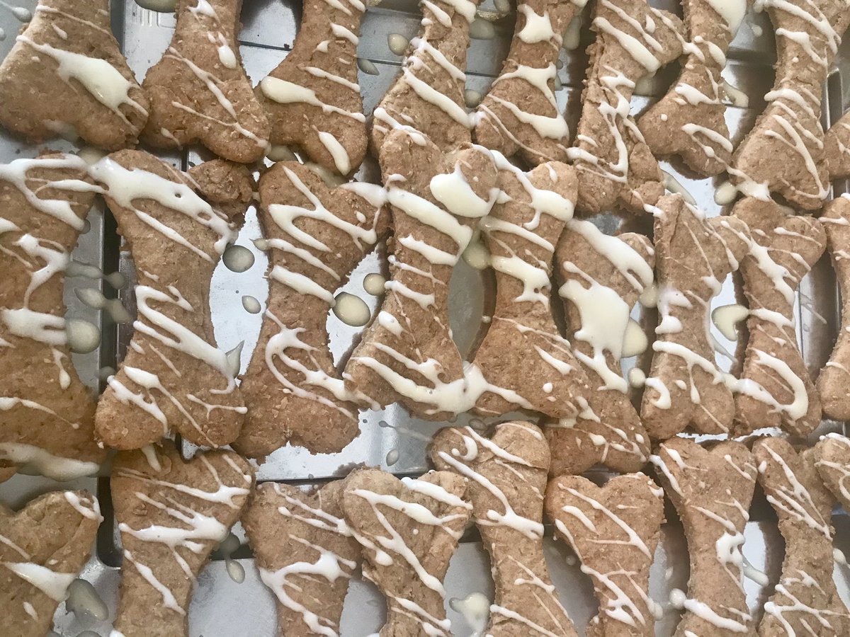 aboutthedoguk's tweet photo. #valentines cookies for #furbabies . Message to order #Liverpool https://t.co/m5Q1LtFznJ