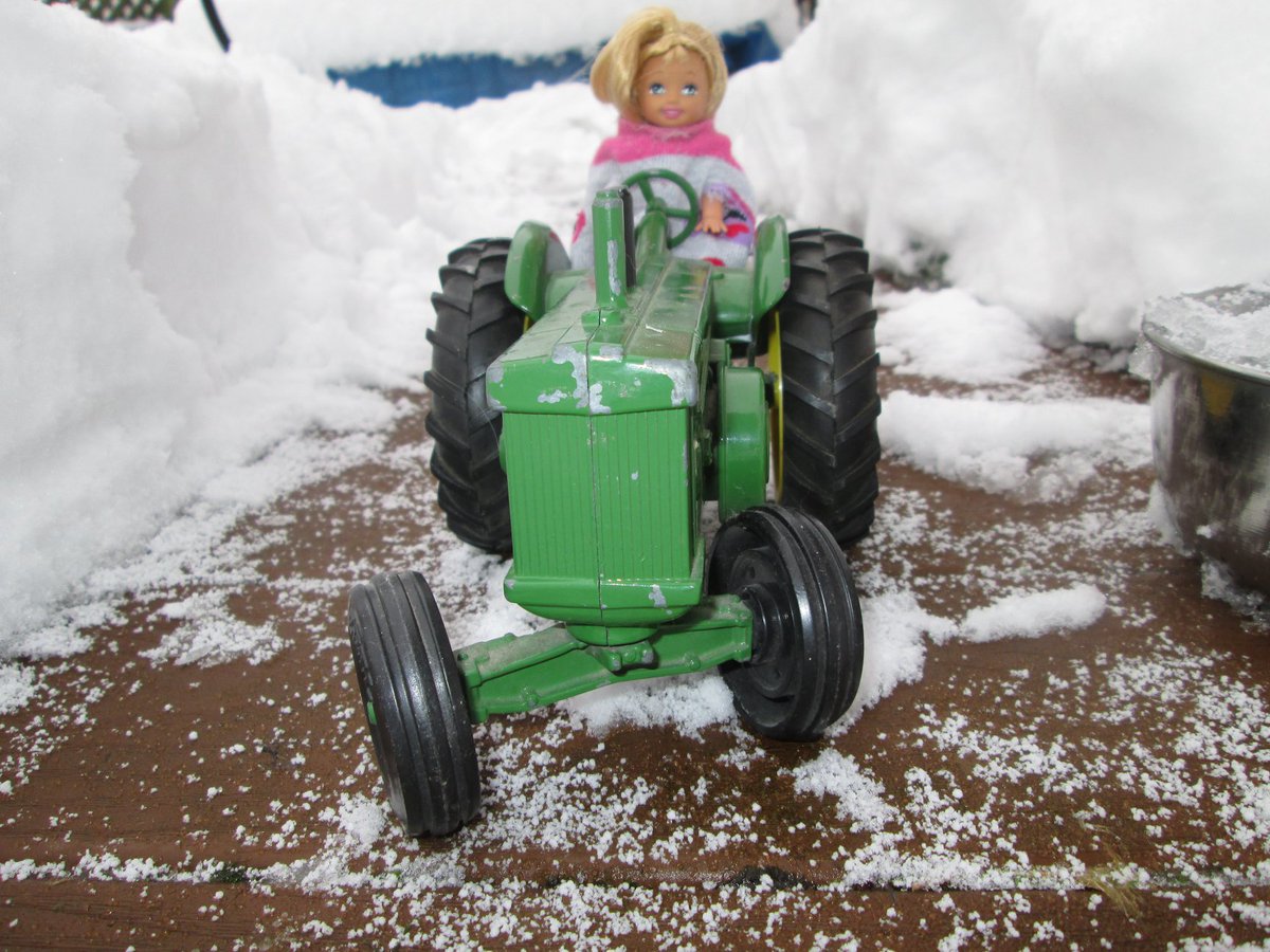 SteveSwanson's tweet image. A woman's work is never done!

#SeattleSnowpocalypse   #SnowMageddon2019  #Snowmaggedon2019  #seattlesnowstorm