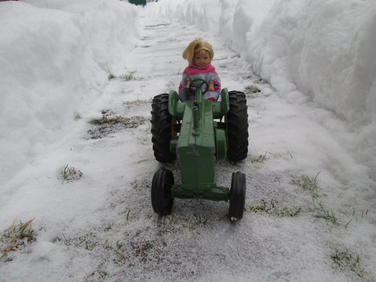 SteveSwanson's tweet image. A woman's work is never done!

#SeattleSnowpocalypse   #SnowMageddon2019  #Snowmaggedon2019  #seattlesnowstorm