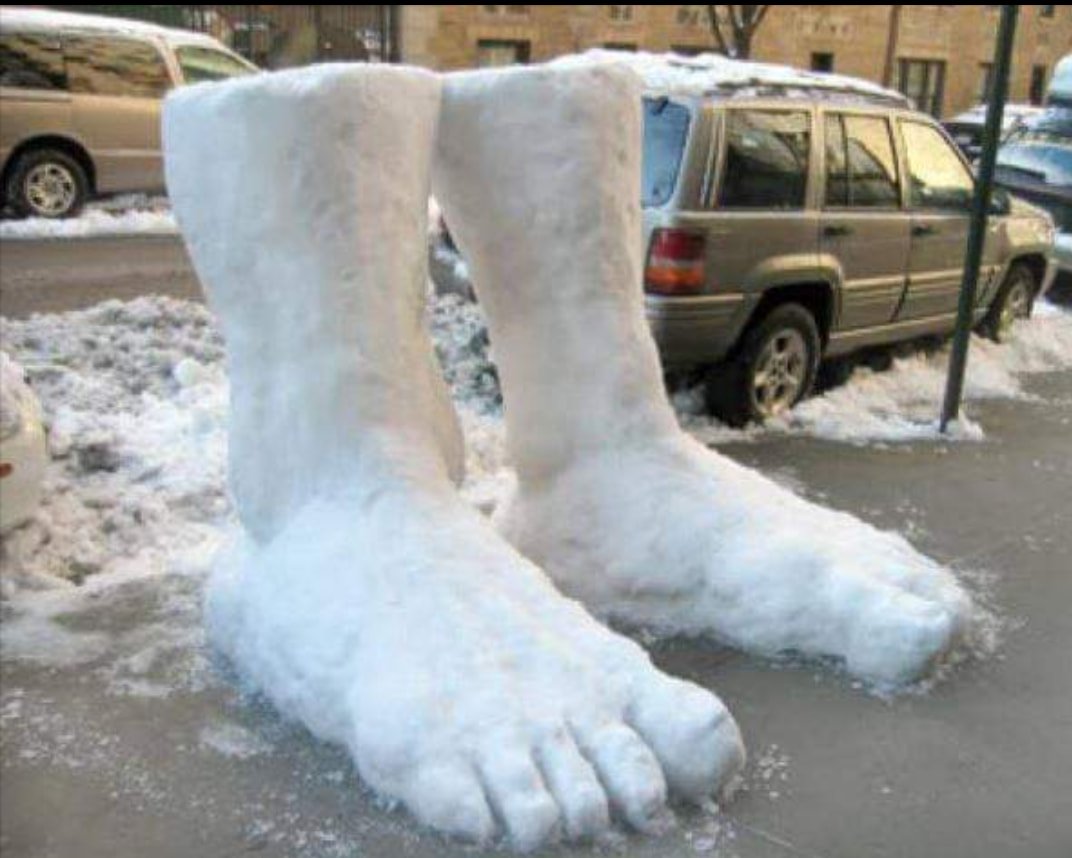 SteveSwanson's tweet image. 2 feet of snow in Seattle!

#SeattleSnowpocalypse   #SnowMageddon2019  #Snowmaggedon2019  #seattlesnowstorm