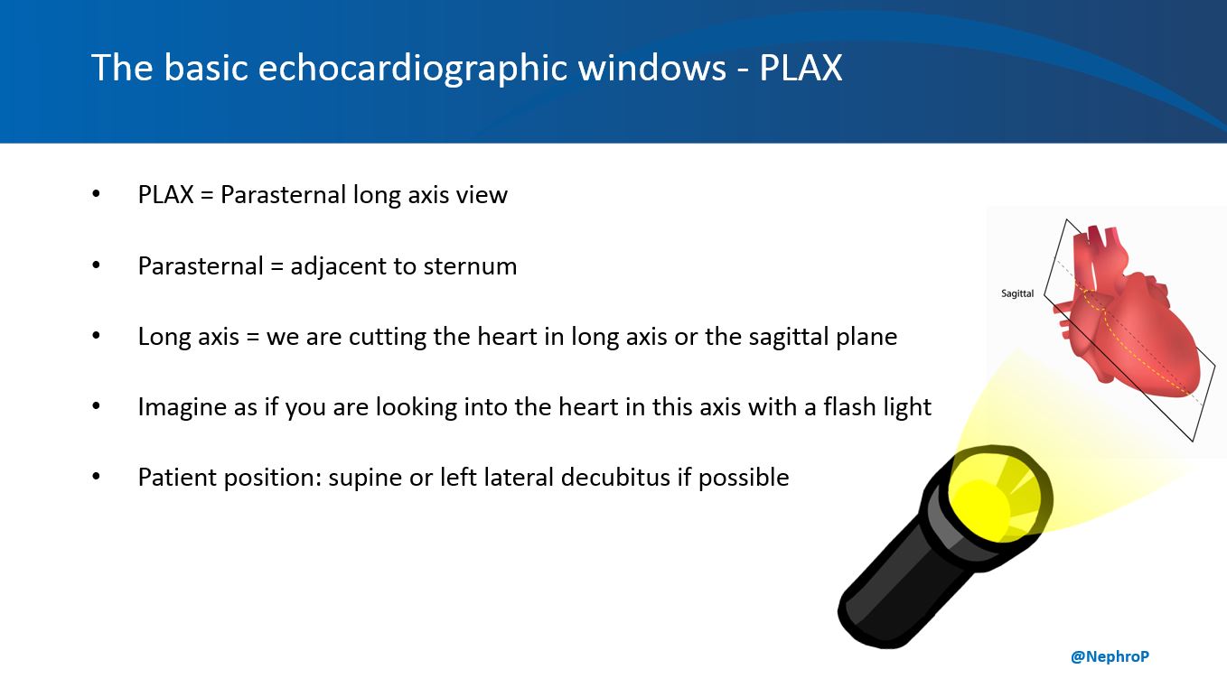 Nephropocus Pocus Nephpocus Impocus Basics Of Cardiac Pocus Plax View Probe Location 3rd Or 4th Intercostal Space With The Orientation Marker Facing Patient S Right Shoulder Or 10 O Clock Position T Co Xedbkj31bw