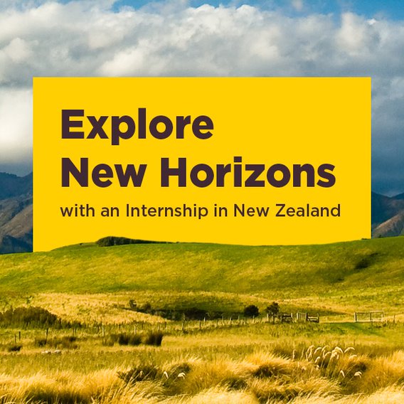Learn new skills in the the land of the long white cloud!