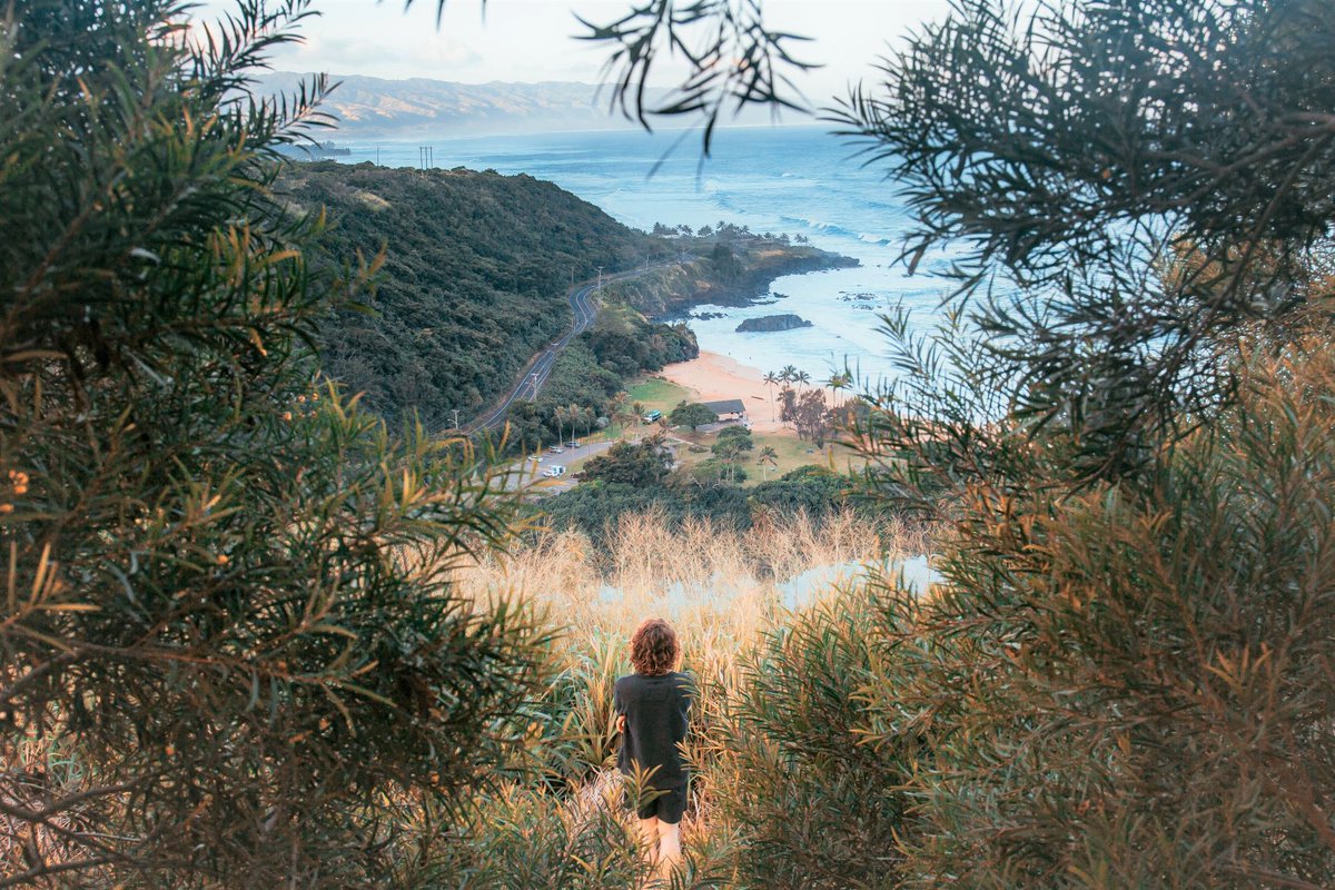🍃Take a second to breathe... #HowWeHui

--
#drivehui#hawaii#luckywelivehawaii#hilife#hawaiilife#honolulu#oahu#aloha#waikiki#funwithfriends#lethawaiihappen