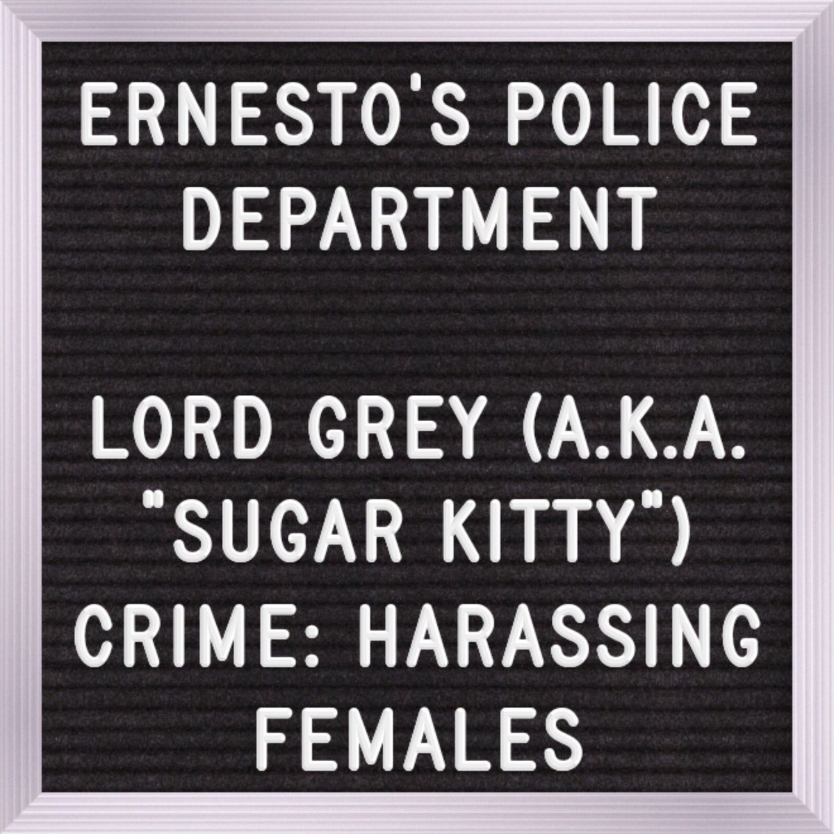 theAleppoCatmen's tweet photo. Lord MRGrey was arrested today.
nobody escapes from justice . 
#WeAreHilarius #WeAreDrunk #Funny #SugarKitty #MeowToo #Aleppo @theAleppoCatman https://t.co/Z93XZOJGjy