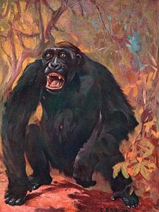 OldHellfire's tweet image. ** OUR FIRST LIVE PLAY **

Discover THE OLD HELLFIRE CLUB without learning any rules!

Watch our RECORD BREAKING playthrough - @MonkeysWithFire taking on the designer at his own game!

bit.ly/HellfireMonkeys

#59DaysToGo #boardgames #Kickstarter @thesecretcabal @Dragonmeet