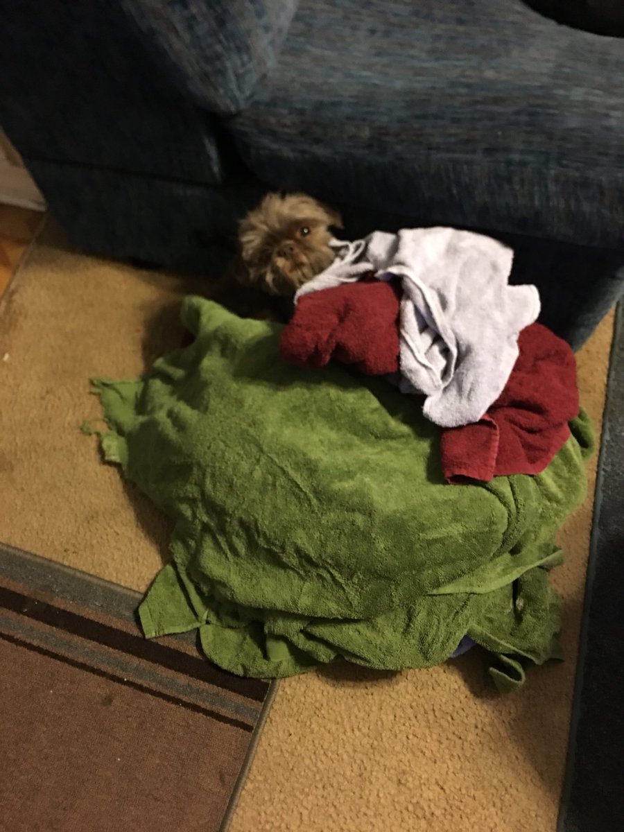 MzFun2know's tweet image. I guess he’s cold too, lol