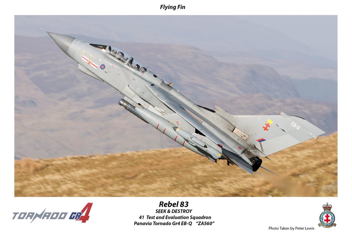 welshi233's tweet image. One of my Favourite Photos