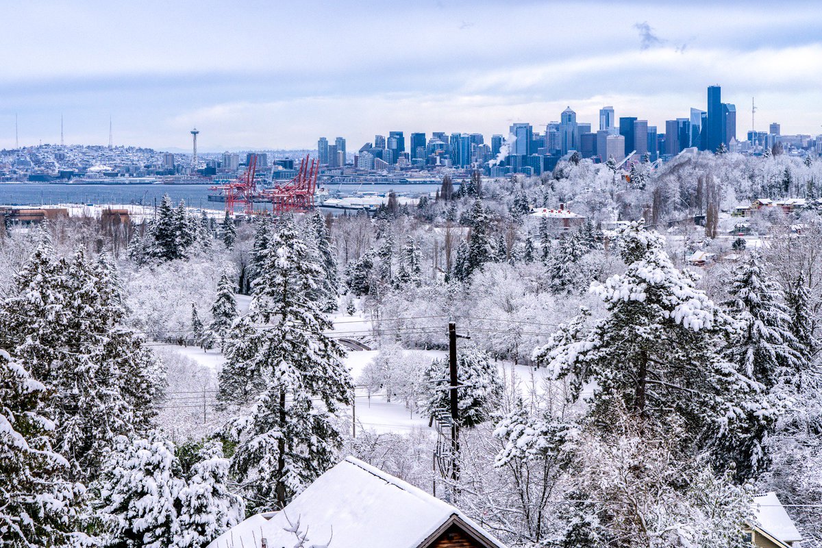 sigmas's tweet image. #Snowmaggedon2019 or is it #snowpocalypse2019 ? #Seattle sure is looking pretty!