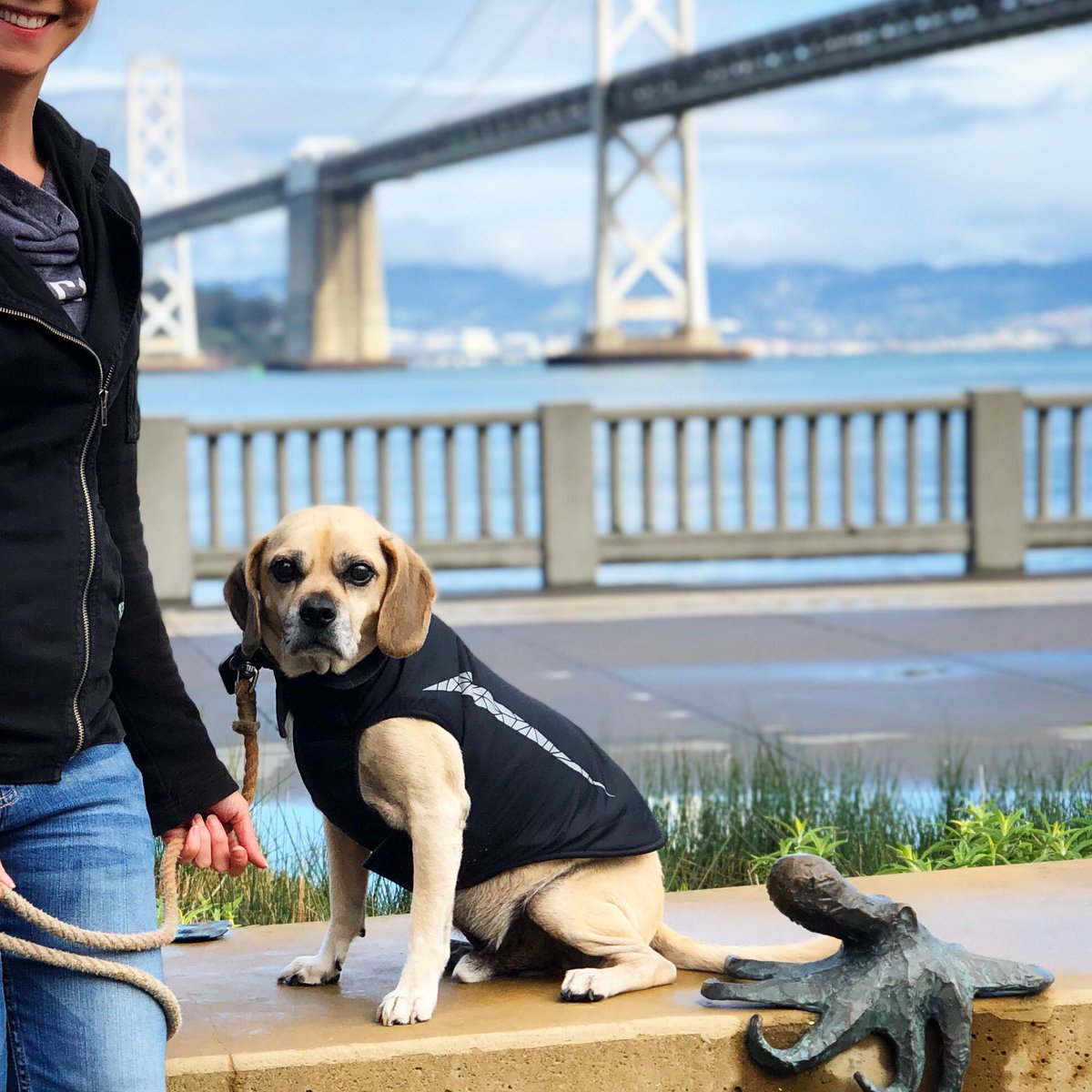 puggle's tweet photo. Just a day on the bay with my bae https://t.co/oqz1gLlDEE