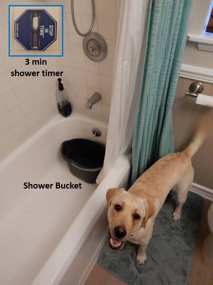resilientLBaop's tweet photo. Despite our wet Winter, Southern California continues to be in a drought. Taking 3 minute (One Song Showers) and using a bucket to catch extra water from your shower to water your plants are examples of WaterHacks that everyone can do. #ResilientLB #LiveH2OLB #SaveEveryDay https://t.co/CefRqYHMfk