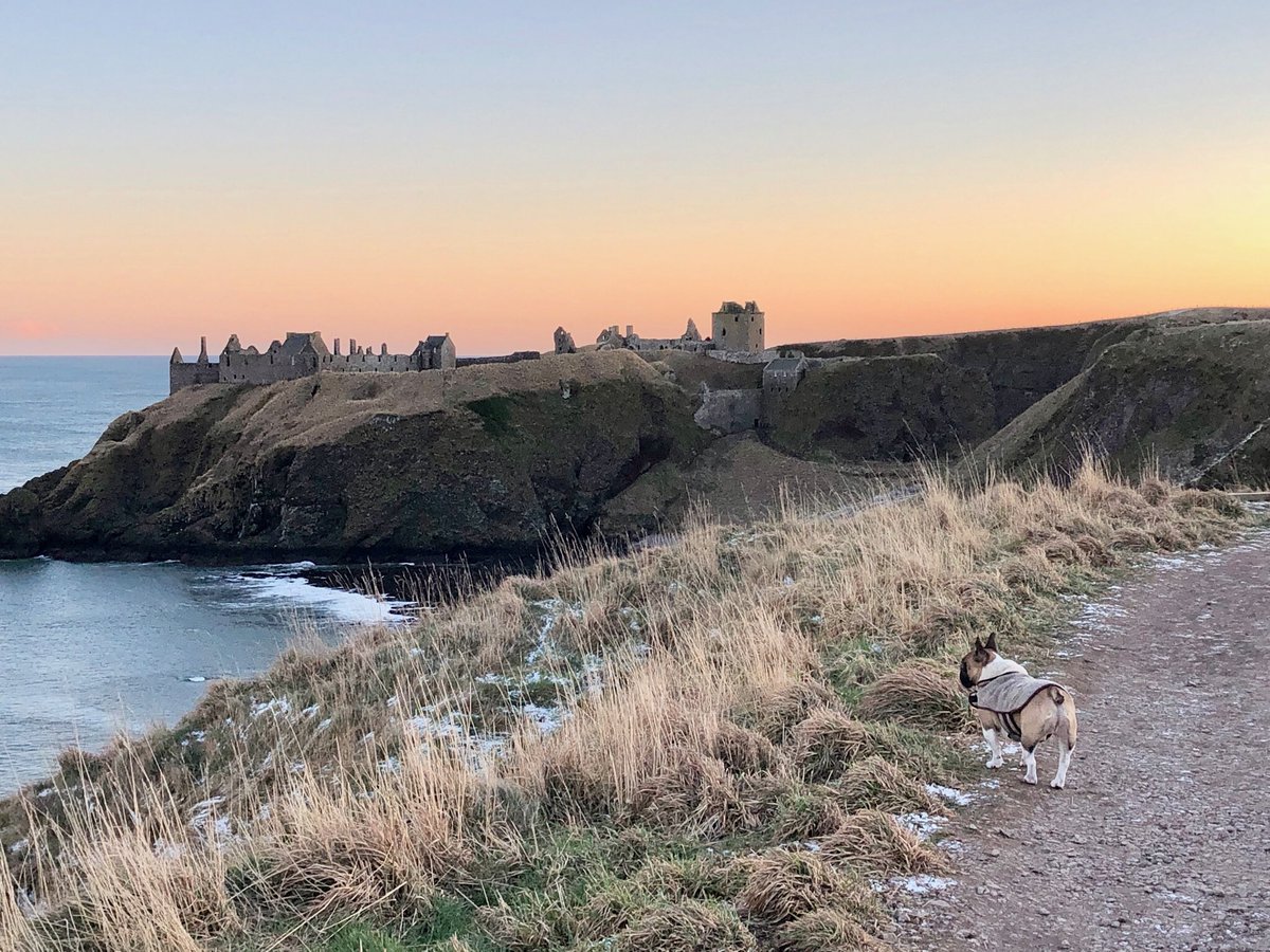 Just enjoying the view... #Dunnottarcastle #Aberdeenshire #Stonehaven