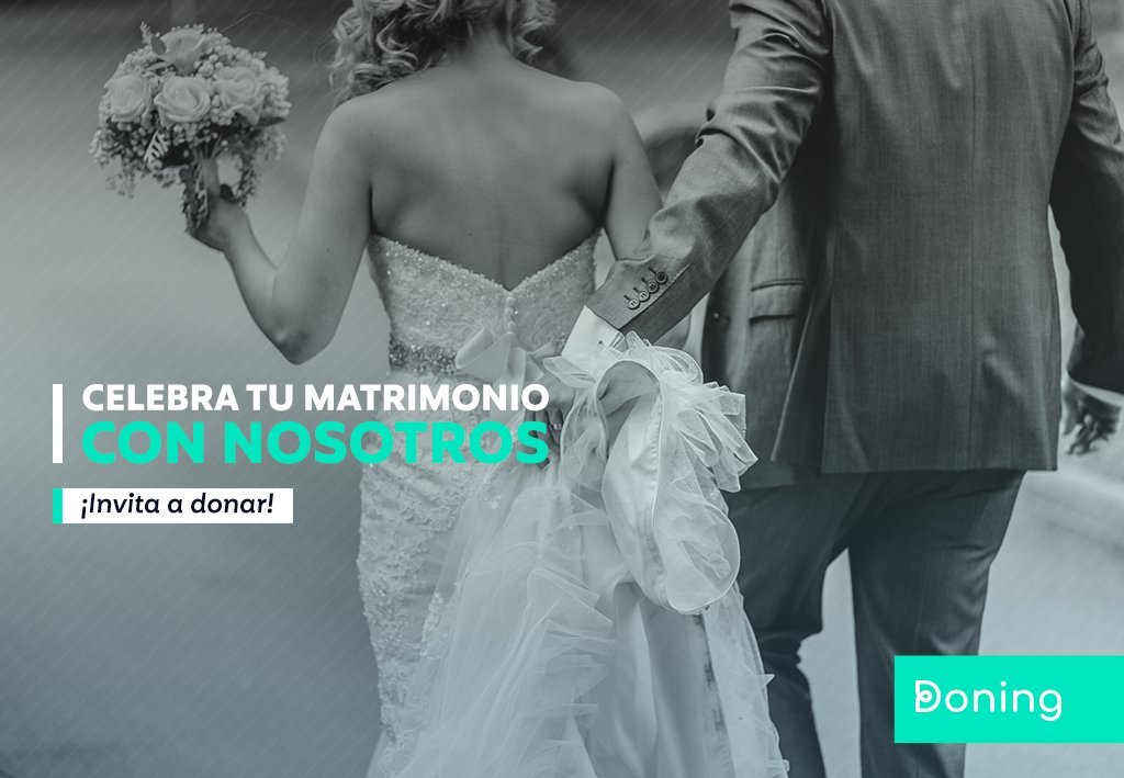 doningcl's tweet photo. ¿Sabías que #Febrero es el mes en que más se casan los chilenos? Si ya tienes una fecha, puedes crear tu evento en #Doning e invitar a tus amigos a donar por una buena causa💌 ¡Dale una vuelta a tu matrimonio! 💞
#DonarEsDoning #DonaTuRegalo #FelizSábado https://t.co/IWClhA302Q