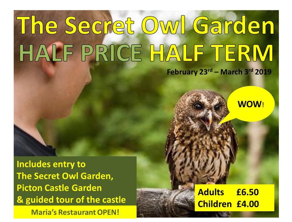 Secret Owl Garden tweet media