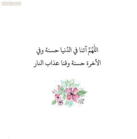 safaakamel69's tweet photo. 💙 https://t.co/oYsNzHcvID