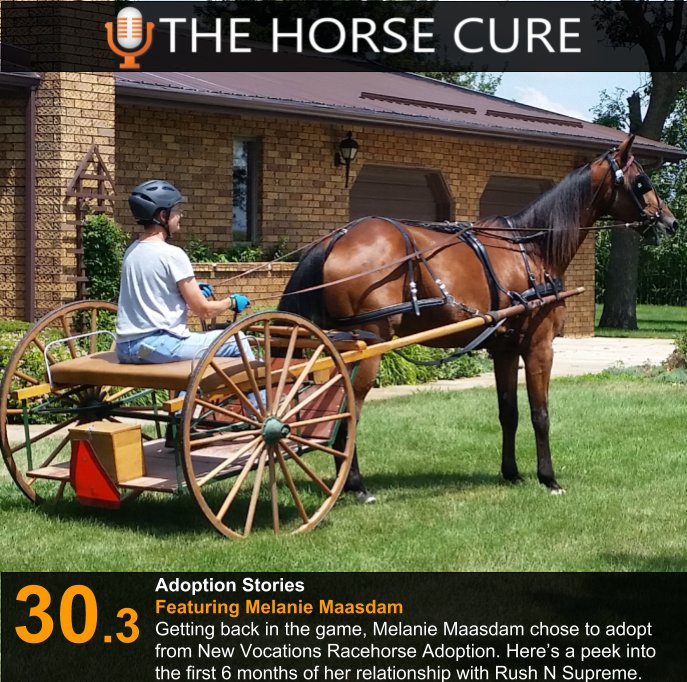 horsecurepod's tweet photo. Episode 3 of our Adoption Stories series with Melanie Maasdam @NewVocations #AdoptionStories #thehorsecure #horseadoption https://t.co/sc2z5GTj72
