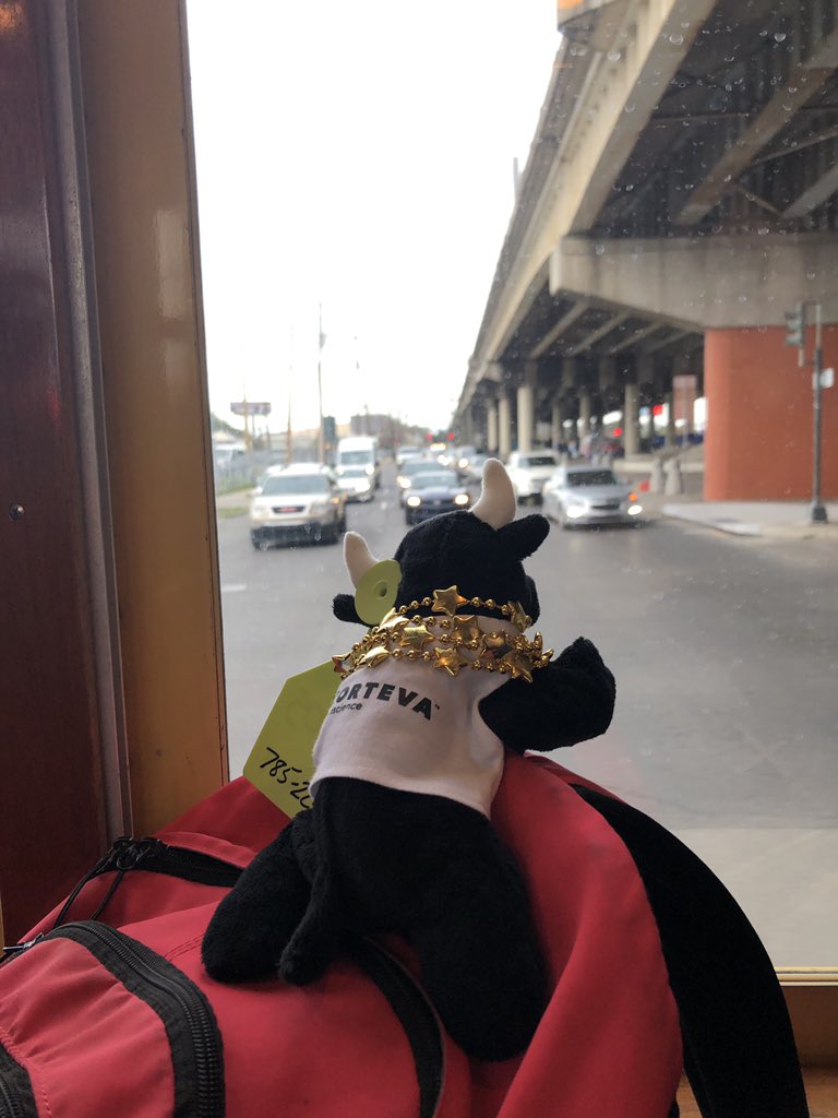 cale_spencer's tweet photo. Pt. 8 Adventures of Carlos                 After a few last shenanigans in NOLA, Carlos was excited to head for Kansas and leave the concrete jungle. He gladly assumed his role as chief navigator. @CortevaPastures #cattlecon19 https://t.co/JfkWUX4luu