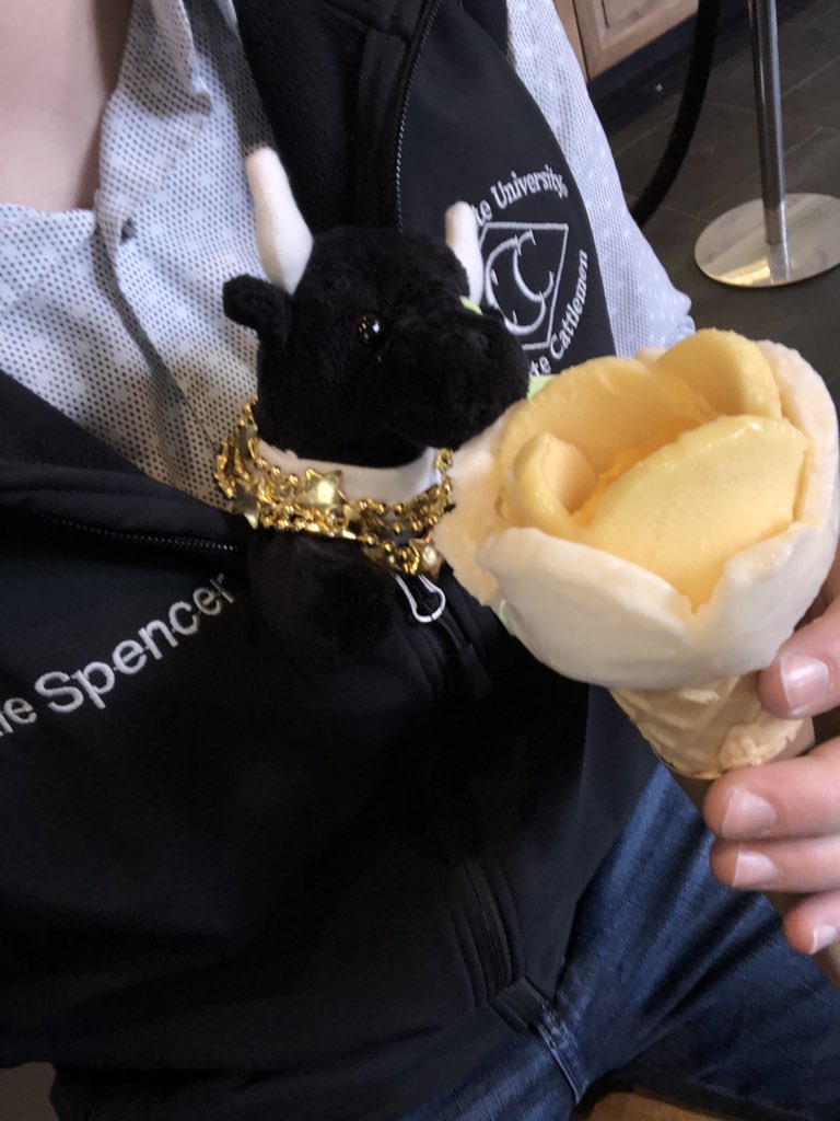 cale_spencer's tweet photo. Pt. 8 Adventures of Carlos                 After a few last shenanigans in NOLA, Carlos was excited to head for Kansas and leave the concrete jungle. He gladly assumed his role as chief navigator. @CortevaPastures #cattlecon19 https://t.co/JfkWUX4luu