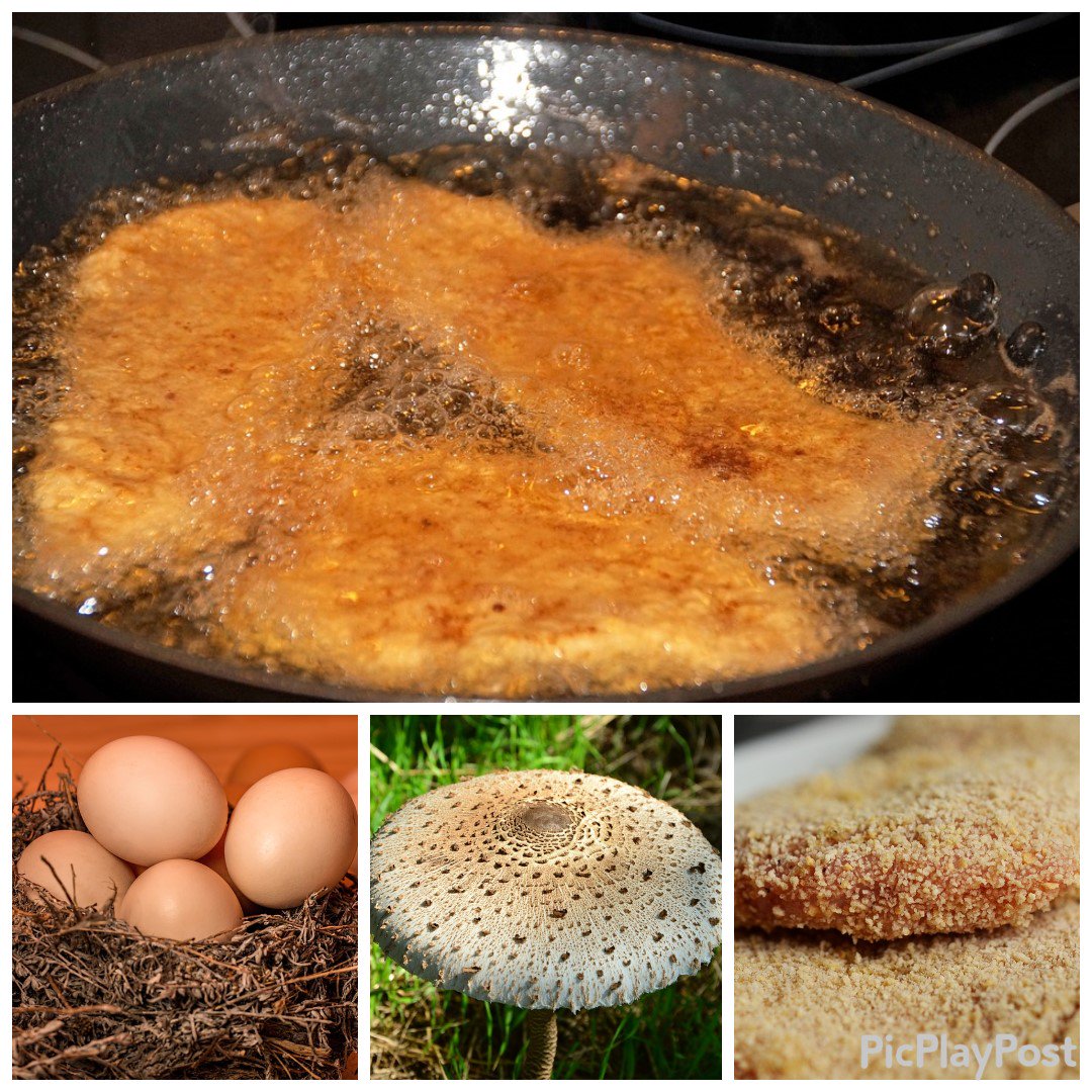 carAle93's tweet photo. [Sabato in cucina] la cotoletta di Mazza di tamburo( macrolepiota procera)😋 seguiteci su    Facebook e su Instagram 😉#funghidellaSardegna 🍄#sardegna #foodporn #micologia #identità #tavola https://t.co/w0aH5YlUBY