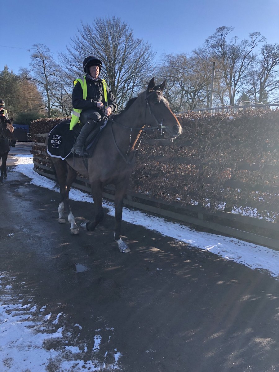 Disappointed not to get a trip to @MusselburghRace today 😥 but did enjoy seeing our boy #BigRiver and also #OneForArthur on the gallops @lucindavrussell @petescu #LucindaRussellRacing today #twoblacklabs #nationalhuntracing #woofwoof 🏇🐾😍🏇🐾😍🏇🐾😍🏇🐾😍