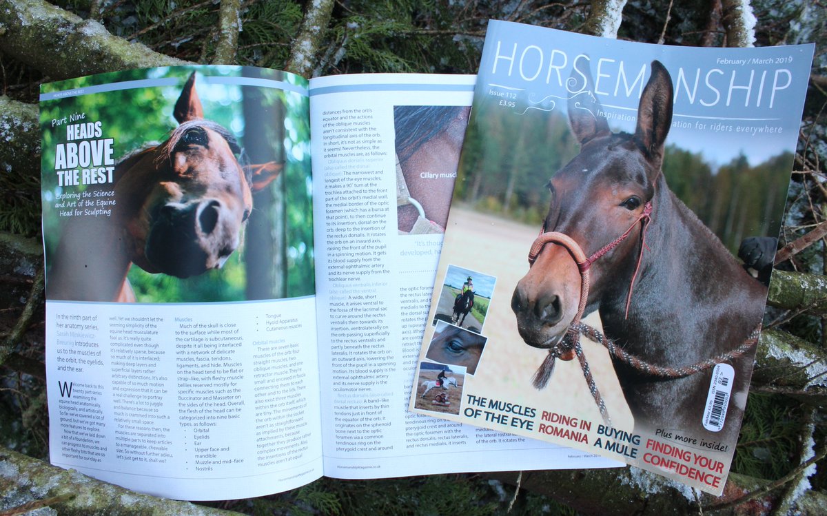 Issue 112 of Horsemanship Magazine is out now! Just want to pick up a single copy? Check out our new Etsy shop:

➡️ etsy.com/uk/shop/Horsem…