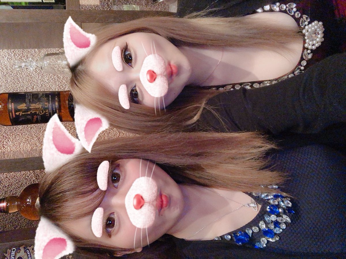 _1999033_'s tweet photo. あちきの一番弟子です
#本日の舎弟 https://t.co/LF6lHElMSM